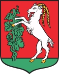 Lublin - herb